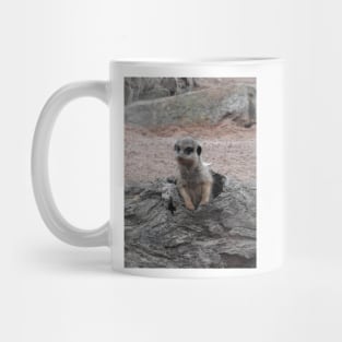 Meerkat Mug